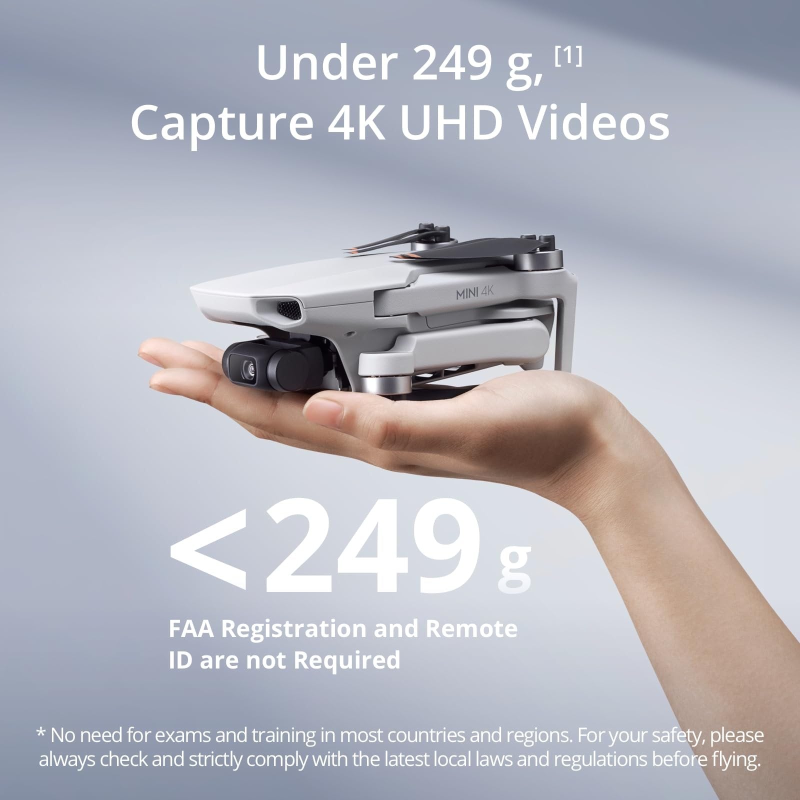 DJI DJI Mini 4K Camera Drone Combo (62-min) With Case and Extra Battery