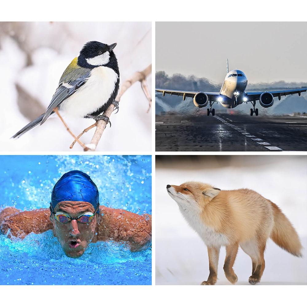 Nikon Z8 Full Frame FX Hybrid Mirrorless Camera 180-600mm Lens Kit