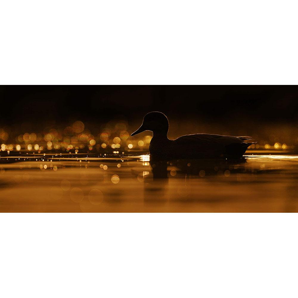 Nikon Z8 Full Frame FX Hybrid Mirrorless Camera 180-600mm Lens Kit