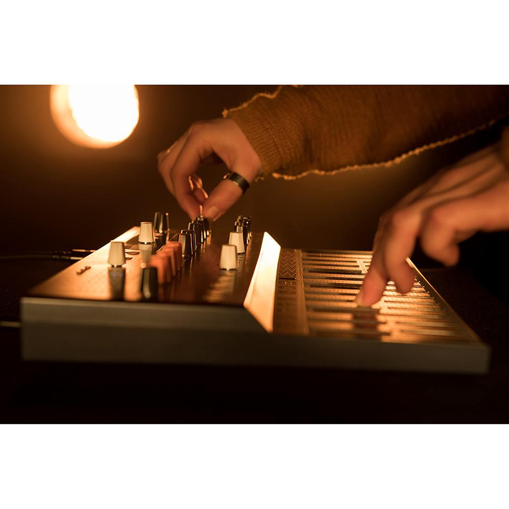 Arturia MicroFreak 25-Key Analog-Digital Synthesizer Black + 26 Month Protection