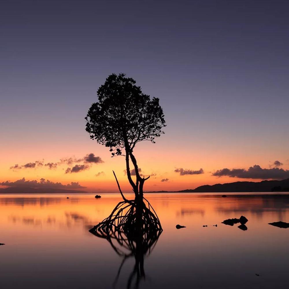 Canon EOS R50 Mirrorless Camera Body Only (White) 5812C002 + Accessories Bundle