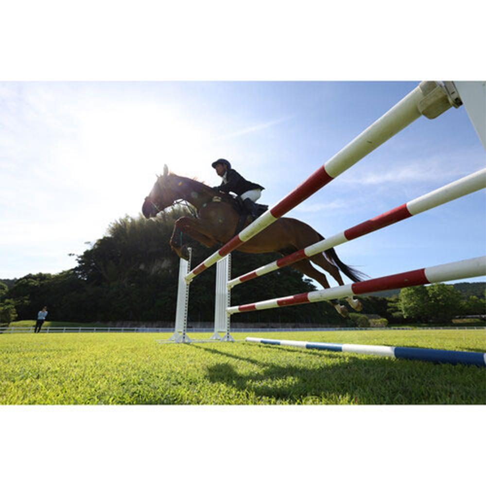 Canon R6 Mark II 24.2 MP Mirrorless Camera + 24-105mm IS STM Lens + Accessories Bundle